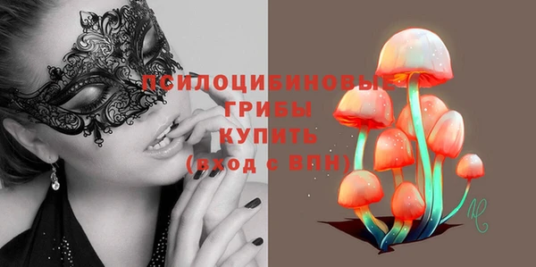 прущие крисы Белокуриха