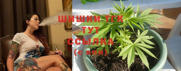 прущие крисы Белокуриха