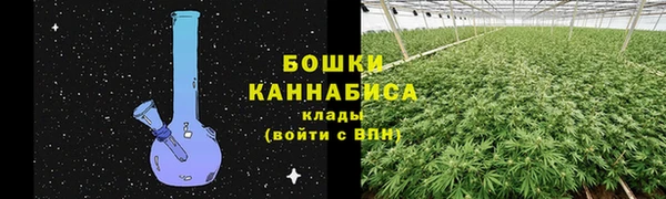 прущие крисы Белокуриха
