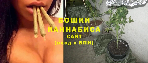 PSILOCYBIN Богданович